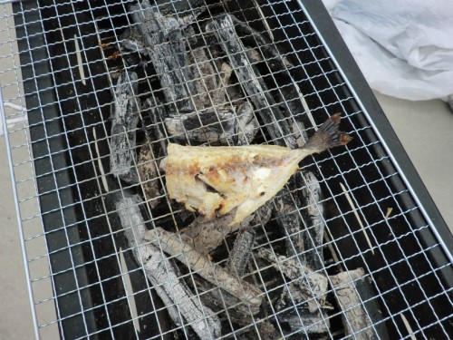 和歌山マリーナシティ2011_釣った魚焼き上がり